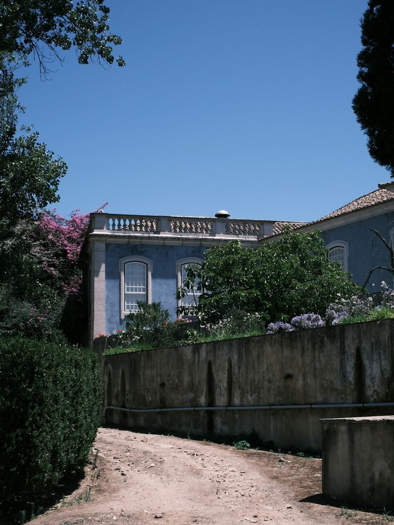 A dirt road leading to a large blue house